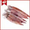 Muc-trung