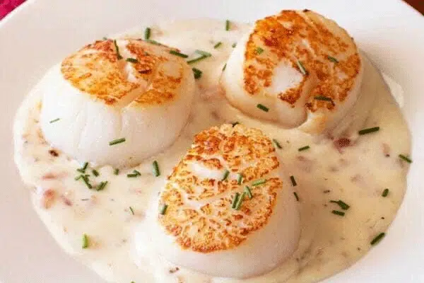 Cồi sò điệp Nhật đông lạnh