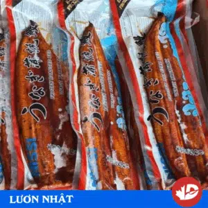 Lươn Nhật