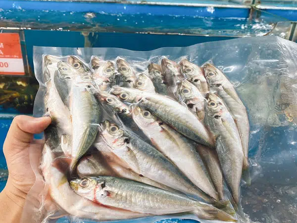 Cá nục huế