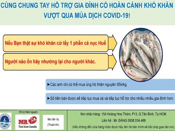 Hỗ trợ mùa covid