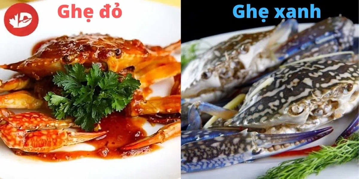 món ăn từ ghẹ đỏ và ghẹ xanh