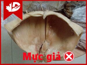 Cách nhận biết mực khô giả thật nguyên con