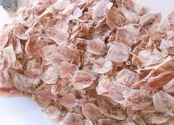 Khô mực đồng tiền là gì? Nên mua ở đâu