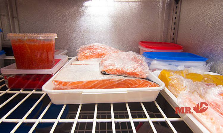 Ủ cá trong ngăn mát tủ lạnh