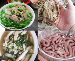 Sá sùng nấu phở