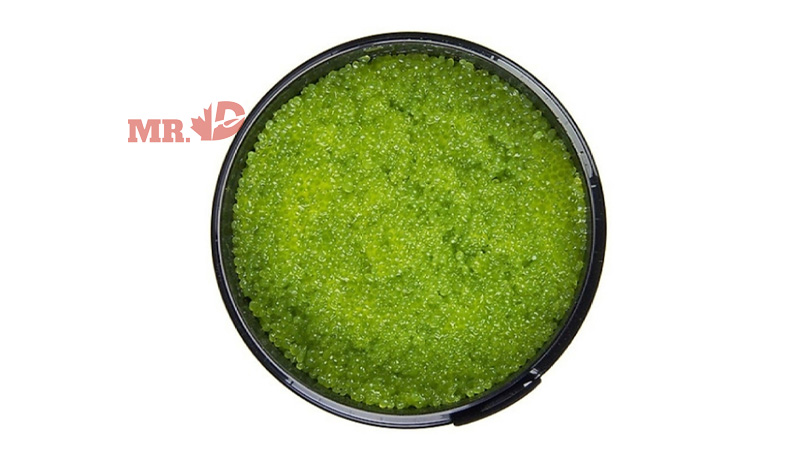 trung-tom-nam-o-dau-2