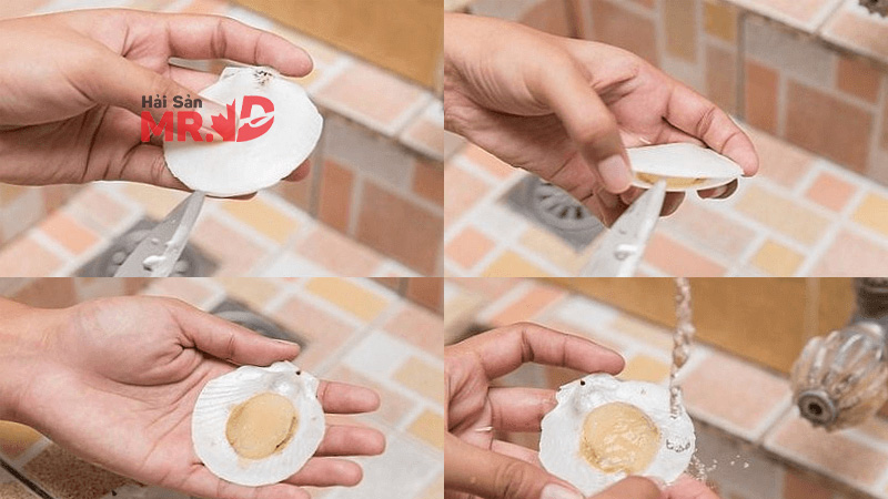 cách sơ chế cồi sò điệp