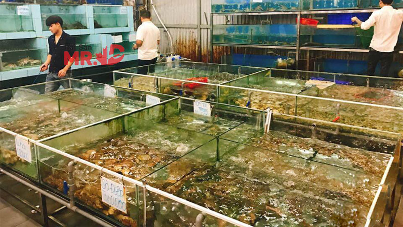 Vựa hải sản Bình Thạnh chất lượng tươi sống, giá rẻ 