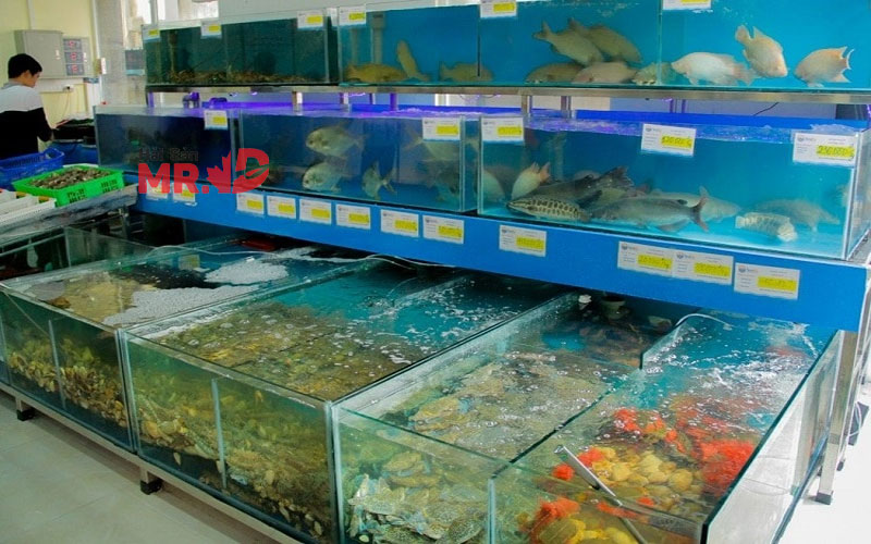 Vựa hải sản Tân Bình tươi sống, chất lượng và giá rẻ