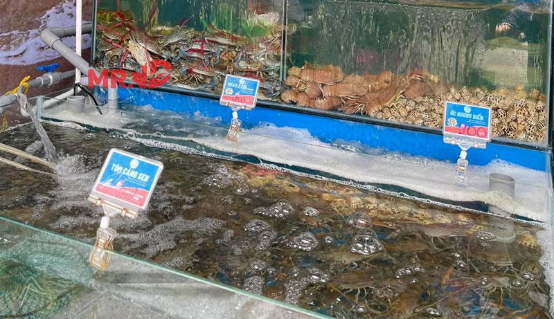 nhà hàng, vựa hải sản Quận 6 tươi sống chất lượng