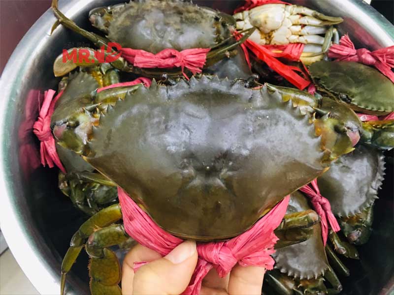 9 vựa hải sản Quận 10 bán tôm, cua, cá tươi sống, chất lượng