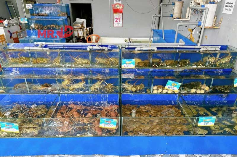 TOP 6 chợ đầu mối, vựa hải sản Quận 12 chất lượng, giá rẻ