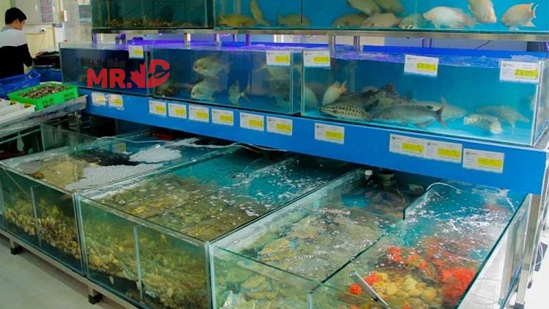 7 vựa hải sản Quận 8 uy tín, chất lượng, giá bán bình dân