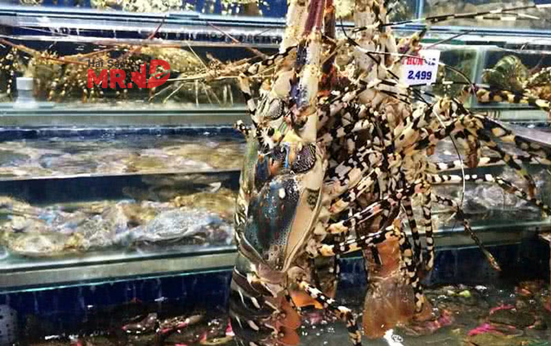 Điểm danh 7 vựa hải sản Quận 9 tươi sống có giá bán tốt nhất