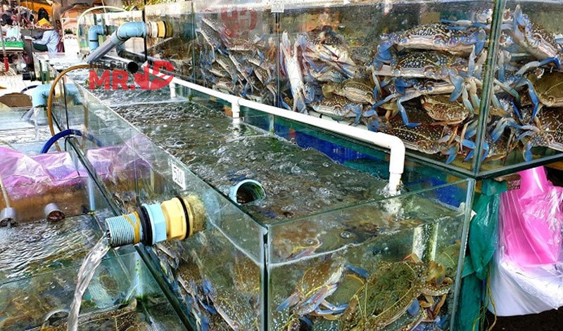 Điểm danh 7 vựa hải sản Quận 9 tươi sống có giá bán tốt nhất