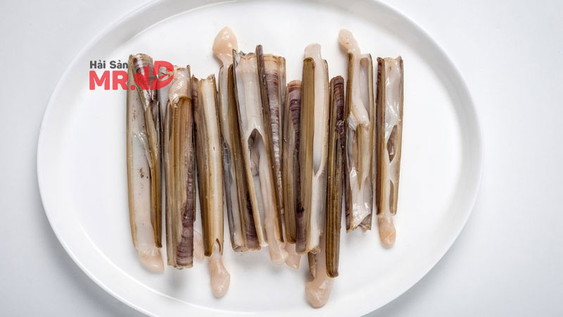 100g ốc móng tay bao nhiêu calo? Giá trị dinh dưỡng của ốc móng tay