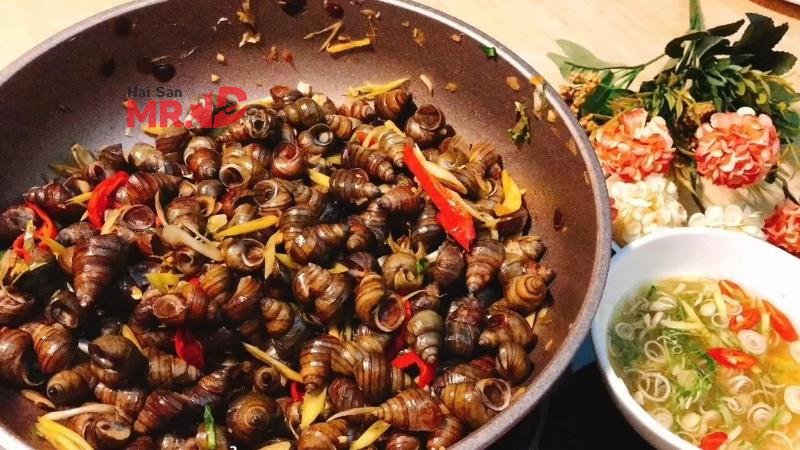 Ốc bao nhiêu calo? Ăn ốc có béo không?