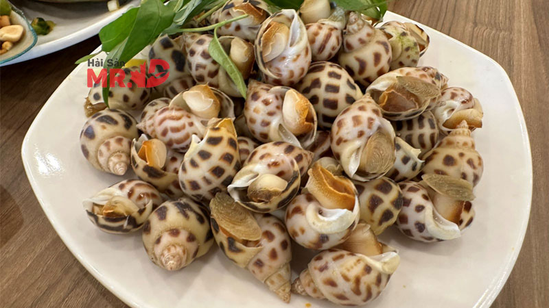 Ốc hương bao nhiêu calo? Giá trị và thành phần dinh dưỡng của ốc hương