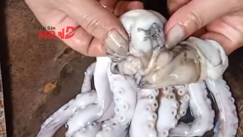 Cách làm bạch tuộc hấp lá ổi thơm ngon, đơn giản tại nhà