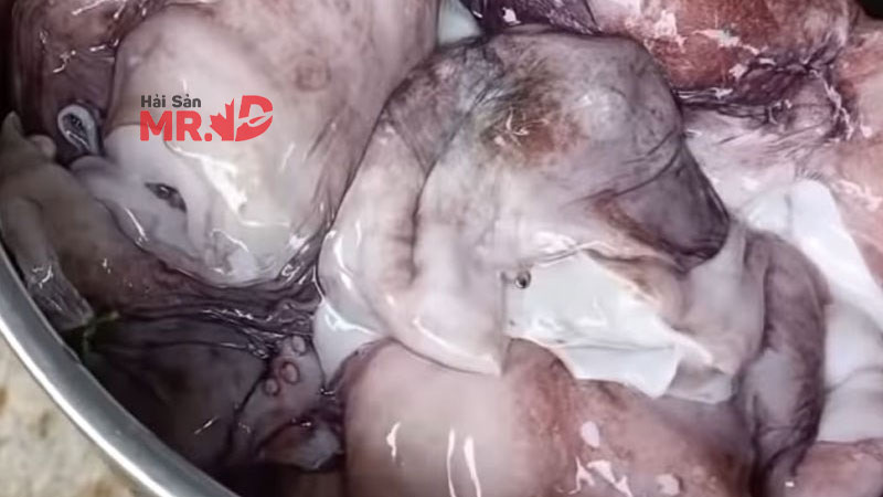 Cách làm bạch tuộc hấp lá ổi thơm ngon, đơn giản tại nhà