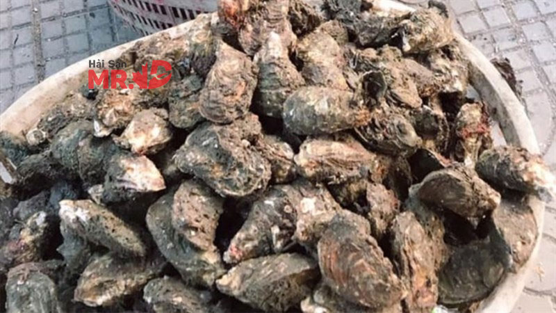 Hàu làm món gì ngon? Tổng hợp các món ngon từ hàu