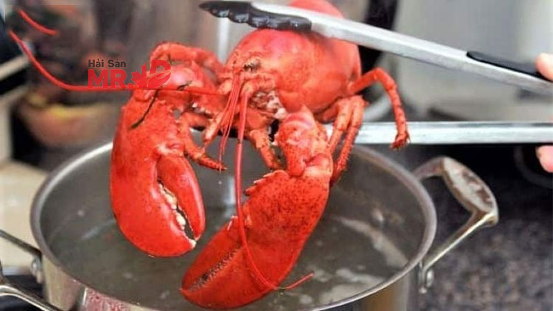 Luộc tôm hùm bao nhiêu phút thì chín?