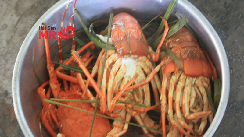 Luộc tôm hùm bao nhiêu phút thì chín?