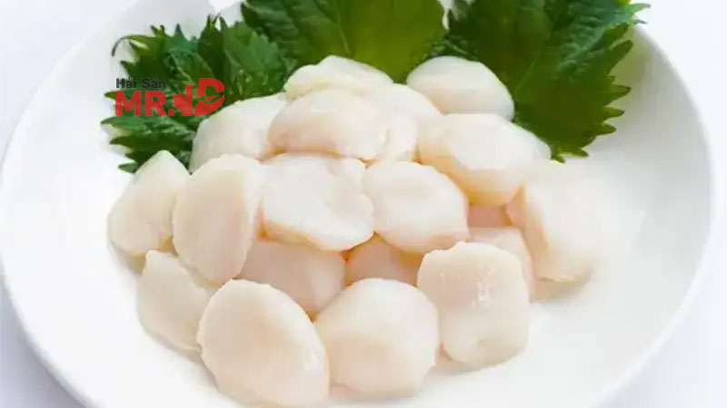 Hướng dẫn cách chế biến còi sò điệp chuẩn nhà hàng tại nhà