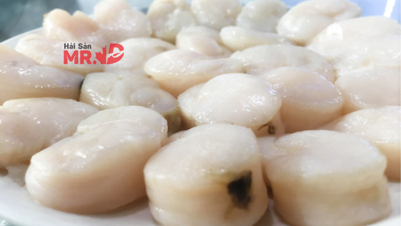 7 món ngon từ cồi sò mai dễ làm và cách chế biến chi tiết