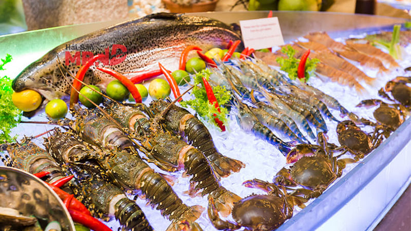 TOP 4 vựa hải sản Bình Chánh chất lượng tươi sống, giá rẻ