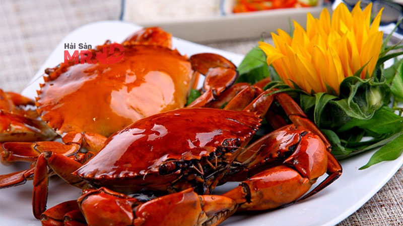 TOP 4 vựa hải sản Bình Chánh chất lượng tươi sống, giá rẻ