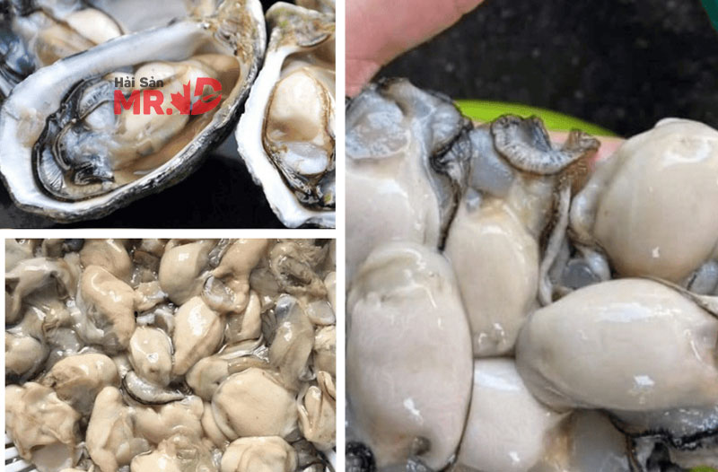 Hướng dẫn chi tiết cách nấu hàu sốt cà chua chuẩn nhất