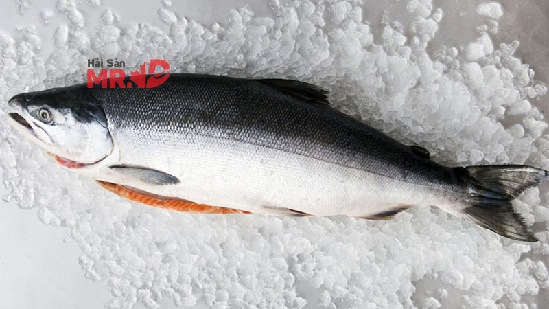 Cách chế biến món ăn ngon từ cá hồi bổ dưỡng cho gia đình