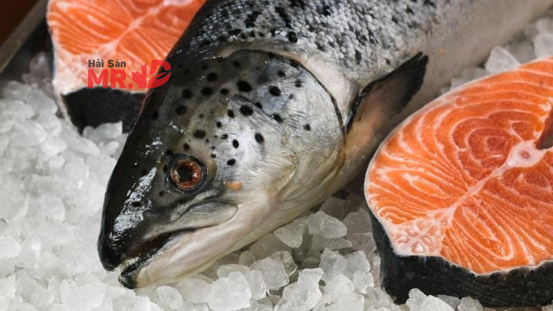 Cách chế biến món ăn ngon từ cá hồi bổ dưỡng cho gia đình